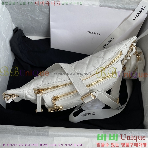# ̽Ʈ Ʈ  AS31077-101