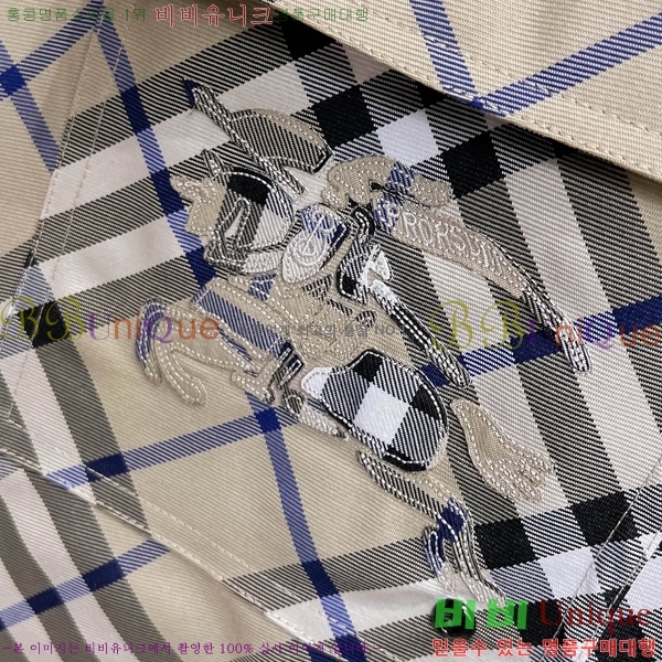   ݹ BU256393-2