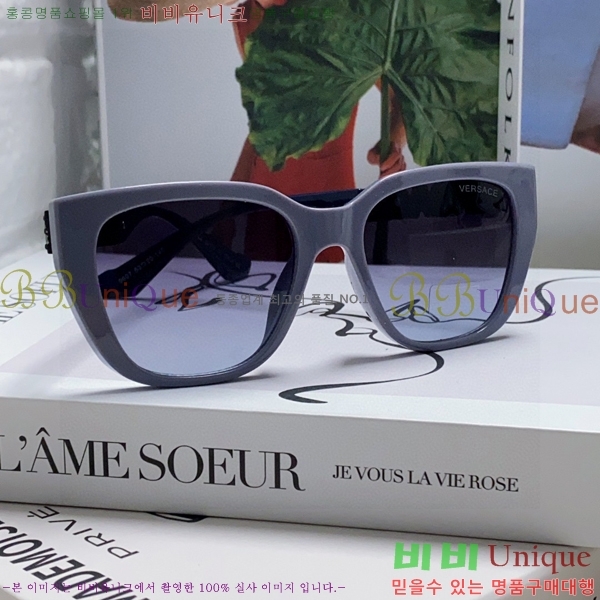 ������ü ���۶� VE102295-1