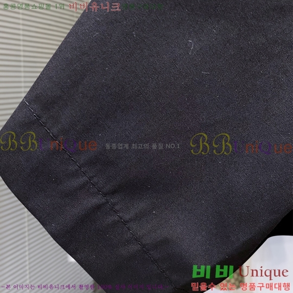     PA505731-2