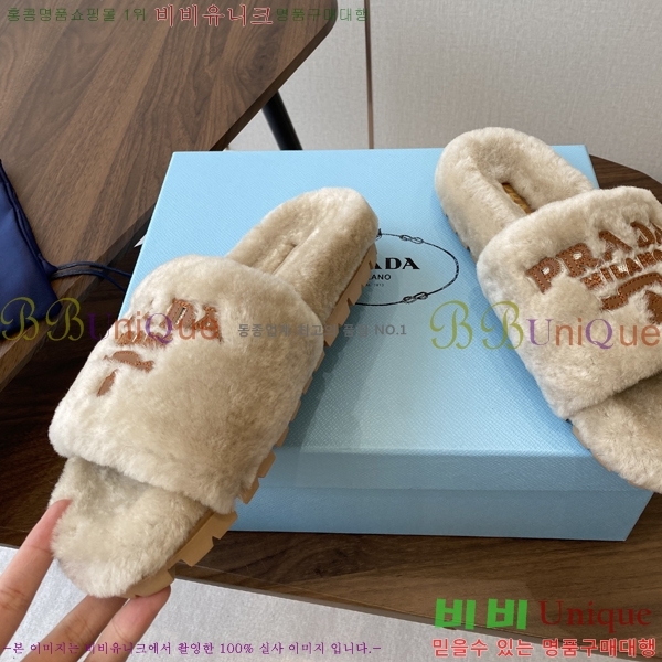   þ   31P2582321-5