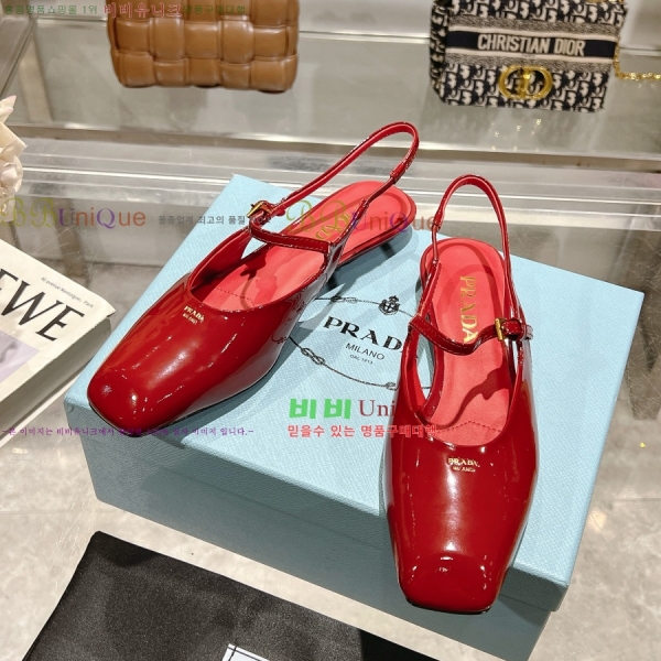  ̴Ʈ ÷  30P258224-2  2.5CM