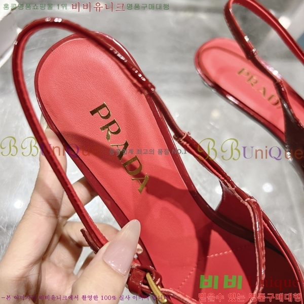  ̴Ʈ ÷  30P258224-2  2.5CM