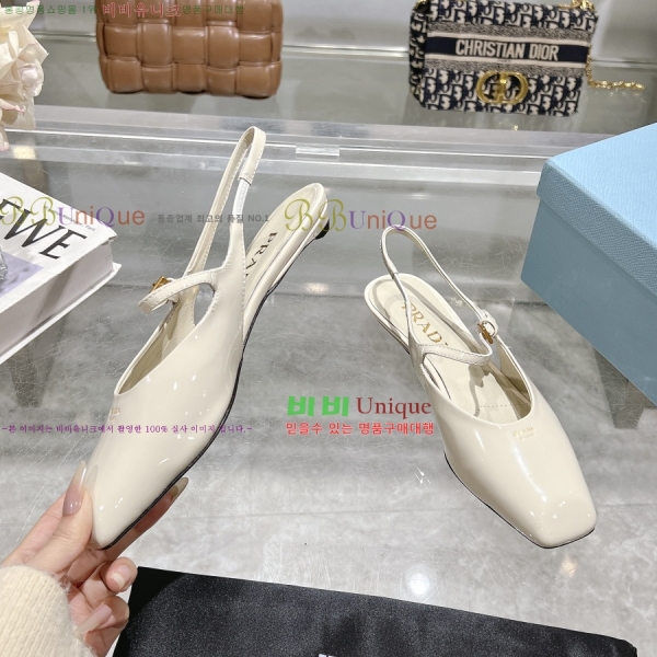  ̴Ʈ ÷  30P258224-3  2.5CM