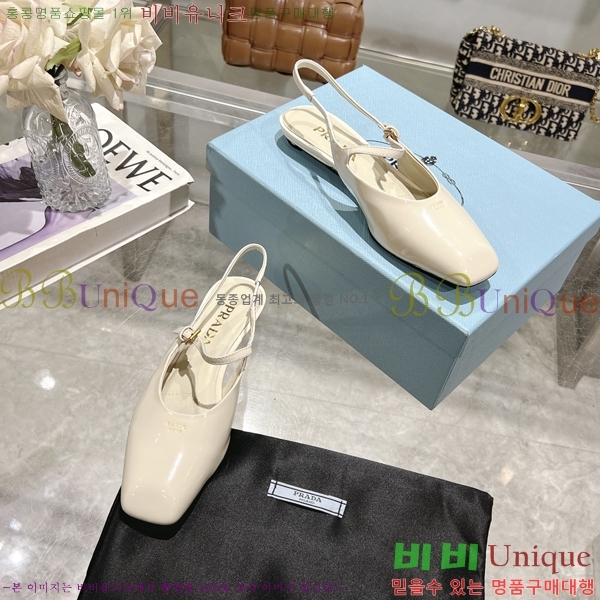  ̴Ʈ ÷  30P258224-3  2.5CM