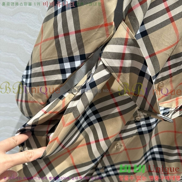   ǽ BU2120556-2