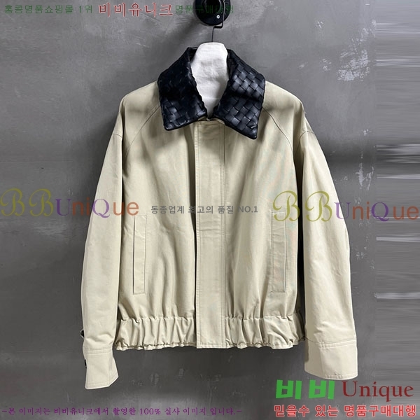 ���� ���װ�����Ÿ ���� BV13061208-1