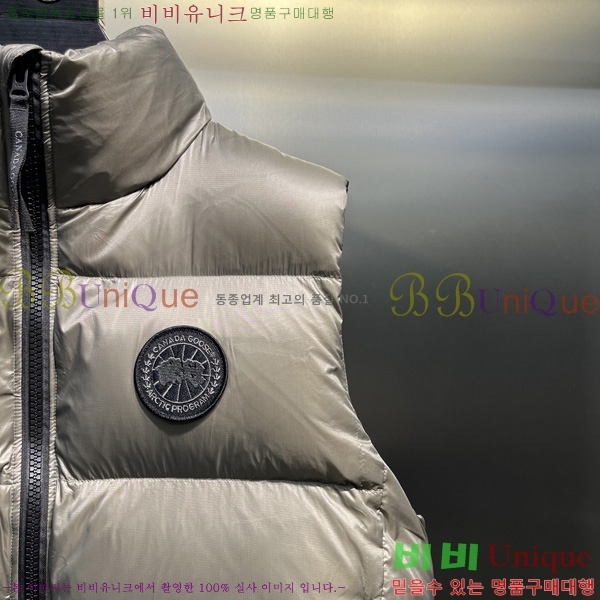  ĳٱ ٿ е   CAG53069-4