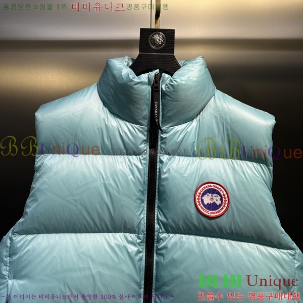  ĳٱ ٿ е   CAG53068-2