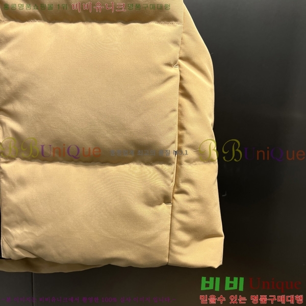  ĳٱ ٿ е   CAG53070-2