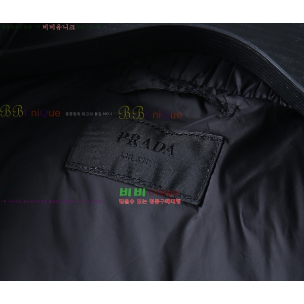 ���� ����� �ٿ� �е� PA254827