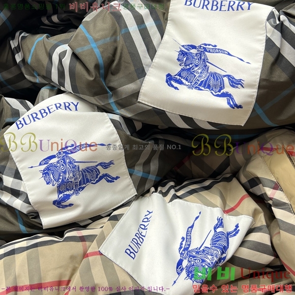 ���� ������ �е� ���� BU2550164-1