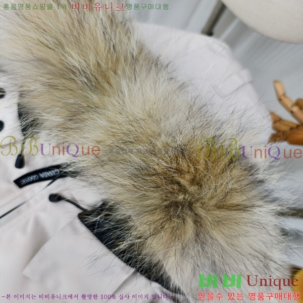 ���� ĳ���ٱ��� �ٿ� �е� CAG65783-8