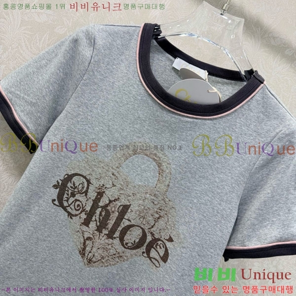 ���� ���ο� ���� Ƽ���� CHE23023-2