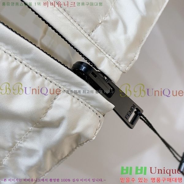 ���� ��� ���� FE256497