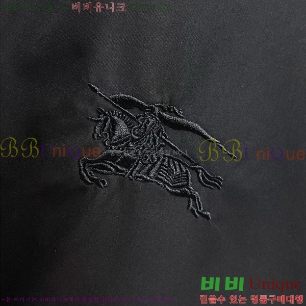 ���� ������ ���� BU215666-1