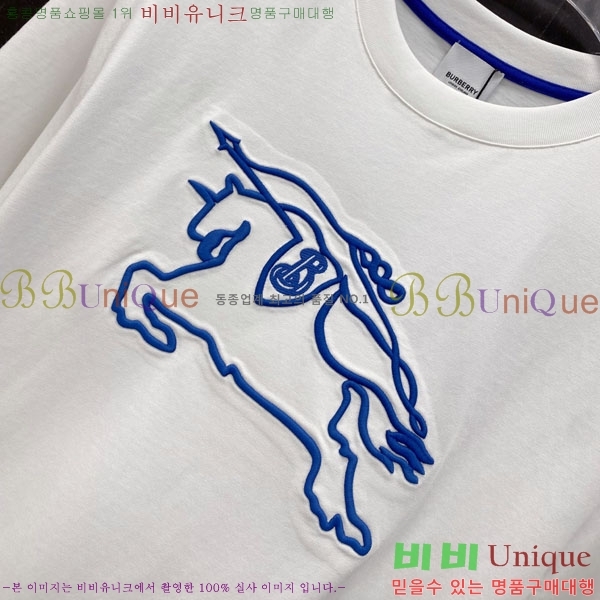 ���� ������ ���� Ƽ���� BU205744-1