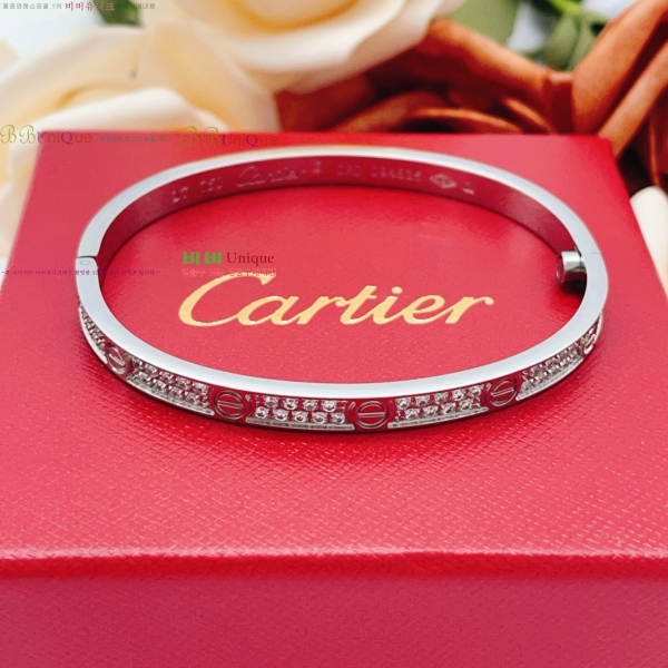 ���� ��쿡 ���� CA33603-6