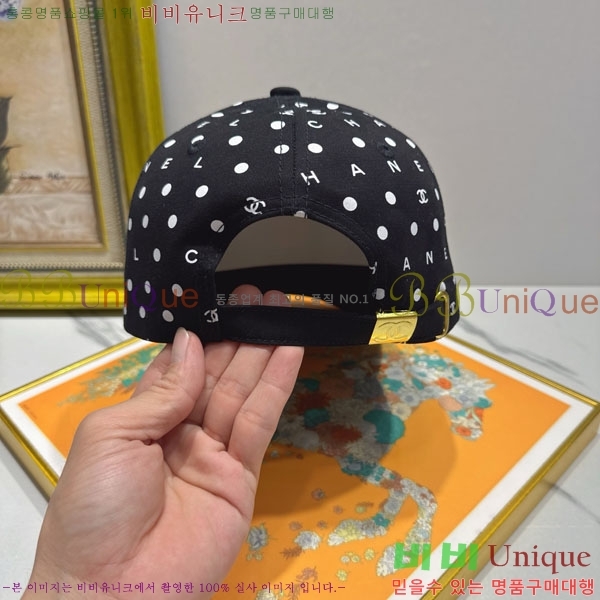 ��* ���� CH2520989-1