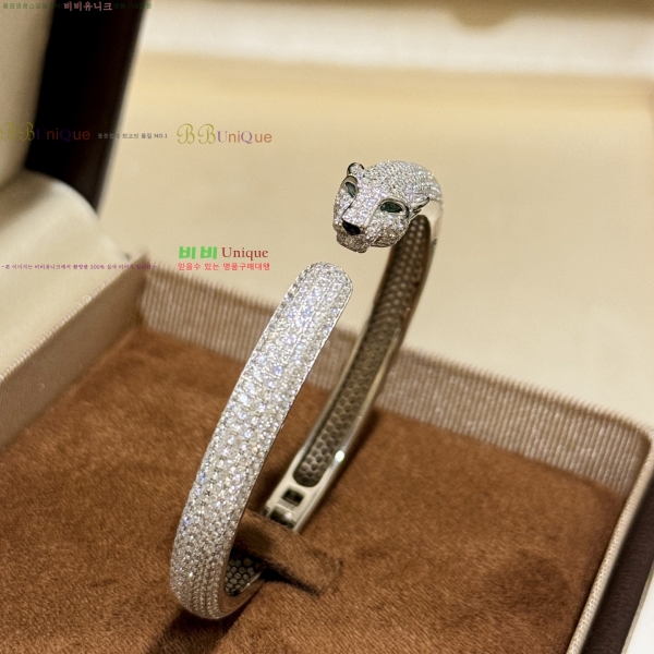 �������� ��쿡 ���� CA33603-1